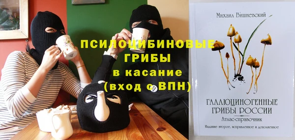 винт Аркадак
