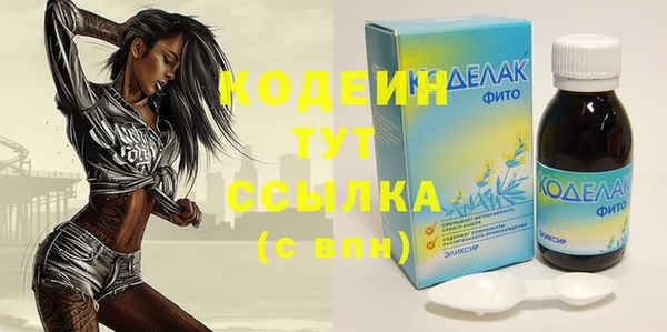 прущие грибы Балабаново