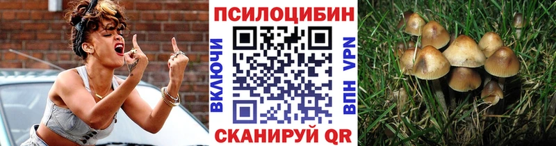 Псилоцибиновые грибы Psilocybine cubensis  Отрадный 